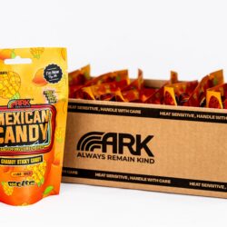 Mango bites Mexican Candy x 12